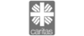 Caritas Logo