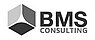 BMS Consulting Logo